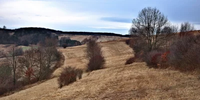 Quiet Countryside Panorama with Brown Fields and Leafless Trees Under Pale Sky image