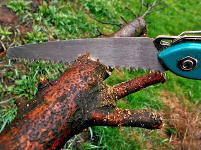 Close-up of Hand Saw Efficiently Cutting Through Thick Tree Branch Outdoors image