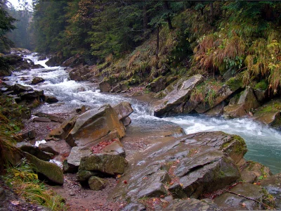 Vigorous mountain stream cascading through a rugged autumn forest with mossy rocks image
