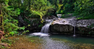 Forest Waterfall and Rocky Stream in Lush Green Woodland Landscape image