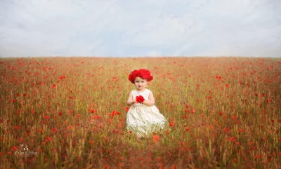 Adorable Baby Standing in Vibrant Red Poppy Field Holding Flowers Cinematic Style image