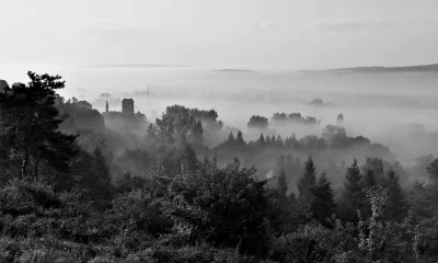 Atmospheric Black and White Landscape: Misty Forest with Distant Tower Silhouette image