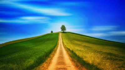 Winding dirt path ascends a vibrant green and golden hill towards a single tree image