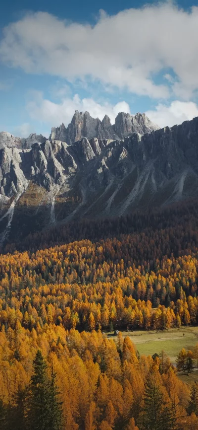 Dolomites Mountains Covered in Autumn Foliage Under Blue Sky