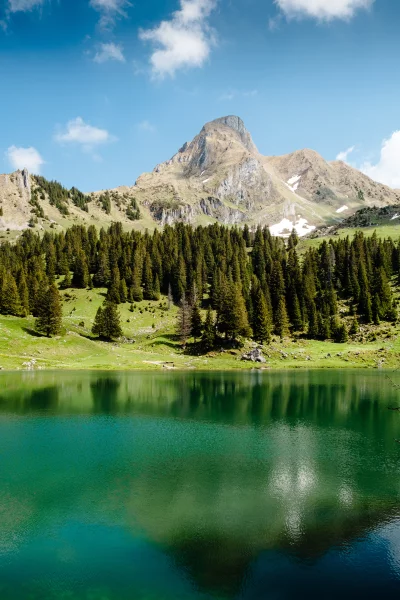 Scenic Alpine Lake with Forest and Mountain Peak in Summer image