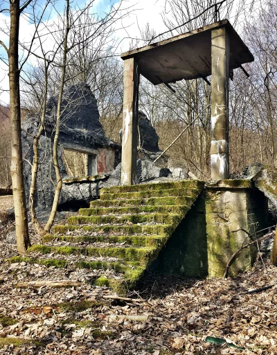 Decaying Concrete Staircase Overgrown with Moss in an Abandoned Forest Ruin image