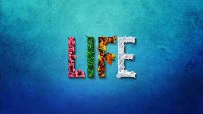 Vibrant Conceptual Life Cycle Represented by Nature's Seasonal Elements Wallpaper image