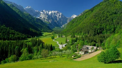 Panoramic Mountain Valley with Lush Green Forests, Snow-Capped Peaks, and Winding Road image