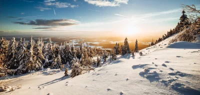 Sunlit Winter Mountain Landscape with Snow-Covered Pine Forest at Golden Hour image