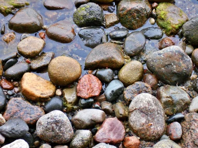 Wet River Stones and Mossy Pebbles Submerged in Clear Shallow Water image