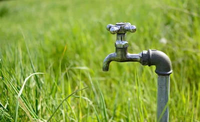 Weathered Outdoor Water Tap in Lush Green Grass Field image