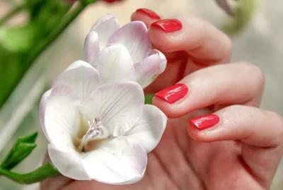 Close-up of a woman's hand holding a white flower