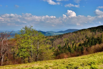 Vibrant Spring Mountain Landscape with Mixed Forests and Scenic Blue Sky image