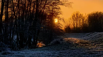 Ethereal Winter Dawn with Frosted Trees and Golden Stream Reflection image