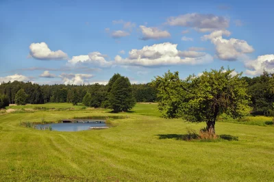 Idyllic Rural Landscape with Green Meadow, Pond, and Fruit Tree under Blue Sky image