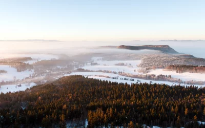 Misty Winter Landscape with Golden Forest and Snow-Covered Valley at Sunrise image