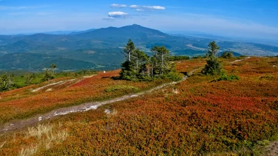 Vibrant Autumn Mountain Landscape with Reddish Shrubs and Distant Blue Peaks image