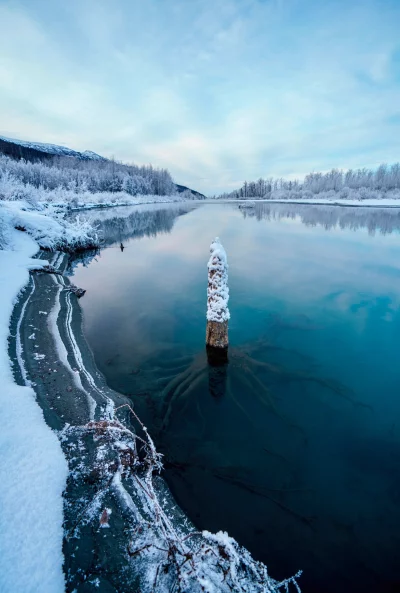 Tranquil Winter River Scene with Snowy Banks and Frozen Log