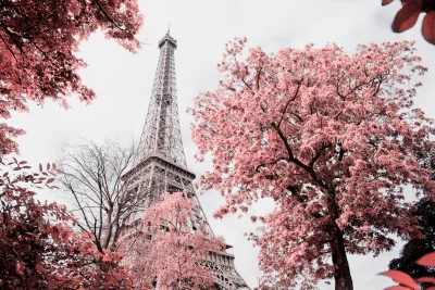 Artistic Infrared Eiffel Tower View with Vibrant Pink Foliage in Paris image