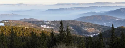 Misty Winter Mountain Layers Panoramic Vista with Pine Forests image