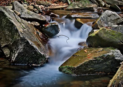 Serene Forest Stream with Cascading Water and Mossy Rocks in Autumn image