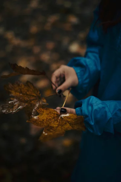 Autumn Foliage in Hands Outdoor