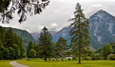 Winding Alpine Road Through Green Meadow with Majestic Mountains and Grazing Cow image