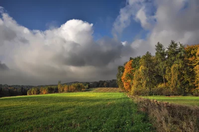 Vibrant Autumn Field and Forest Under Dynamic Cloudy Sky image