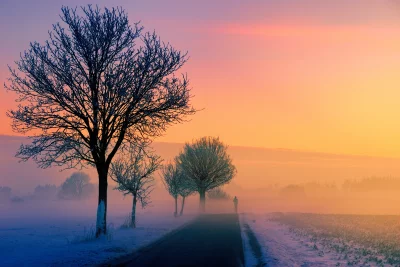 Misty Winter Sunrise Landscape with Silhouetted Trees and Vibrant Sky image