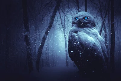 Mysterious Owl with Electrifying Blue Eyes in a Dark Winter Forest Scene image