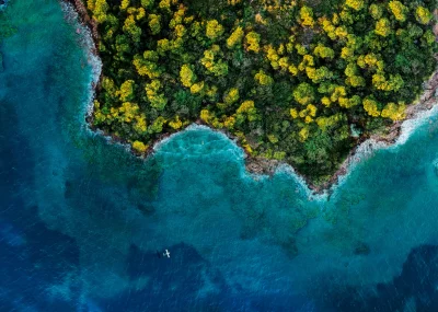 Stunning Aerial View: Tropical Island Shoreline, Turquoise Ocean, and Seaplane image
