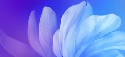 Soft Gradient Abstract Background with Flowing Blue and Purple Petal-like Waves image