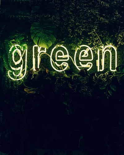 Glowing Green Neon Sign Displayed on Dark Botanical Leaf Wall Background image