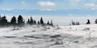 Wind-Blown Snow in Winter Mountains with Distant Peaks and Evergreen Trees image