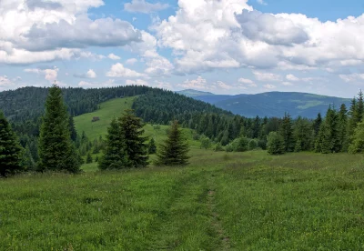Winding Forest Path through Lush Green Mountain Landscape under Cloudy Sky image