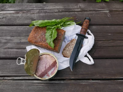 Outdoor Survival Meal: Canned Meat, Rustic Bread, Wild Greens, Military Knife image