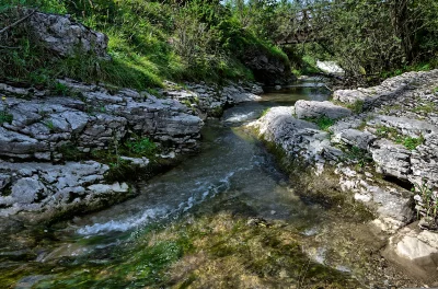 Clear Mountain Stream Flowing Over Rocky Bed with Lush Greenery image