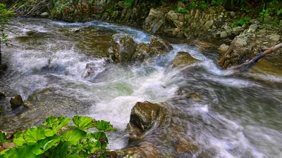 Dynamic Mountain Stream Flowing Through Rocky Forest Landscape image