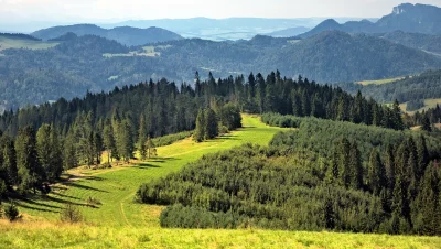 Picturesque Mountain Vista with Dense Evergreen Forests and Rolling Hills image
