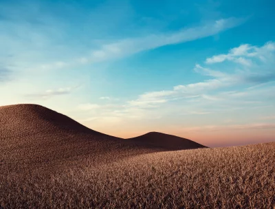Golden Hour Fields: Rolling Dry Grass Under Blue Orange Sky image