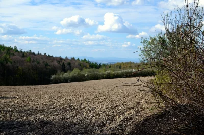Plowed Farm Field with Forest and Distant Mountains under Cloudy Sky image
