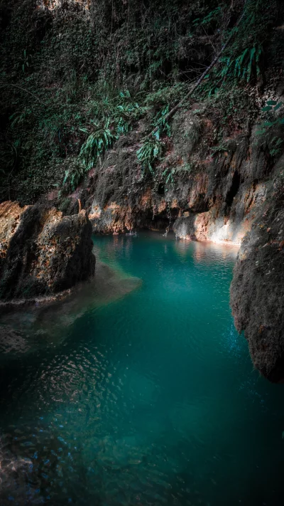Hidden Turquoise Oasis in a Lush Forest Grotto with Crystal Clear Water image