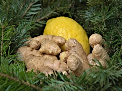 Fresh Ginger Root and Zesty Lemon Nestled in Aromatic Pine Branches image
