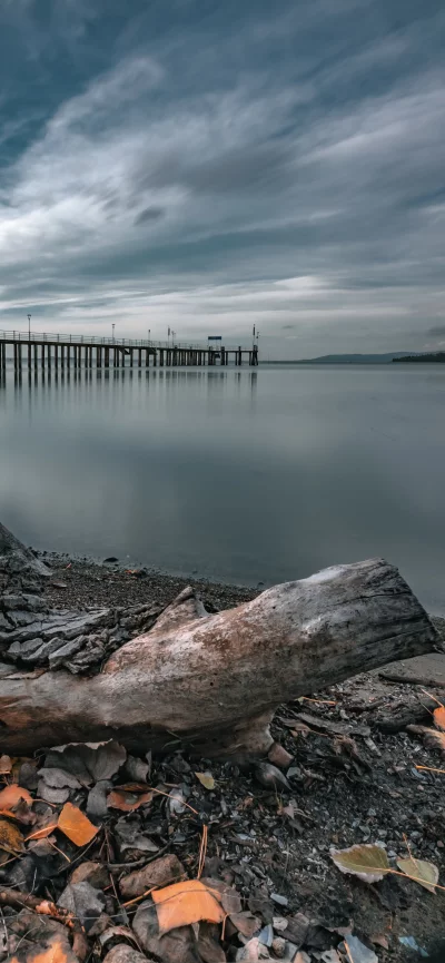 Serene Lakeside Pier with Dramatic Cloudy Sky and Weathered Driftwood Shore image