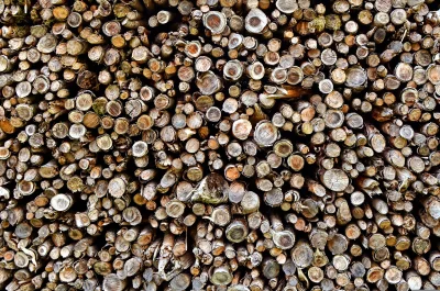 Stacked Firewood Logs Natural Wood Texture Background image
