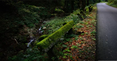 Moss-Covered Barrier Along Winding Forest Road with Flowing Stream image