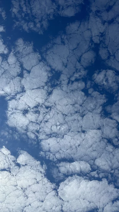 Vibrant Blue Sky Filled with Beautiful Altocumulus Clouds image