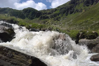 Powerful Mountain Stream Rushing Over Rocks in Lush Green Alpine Landscape image