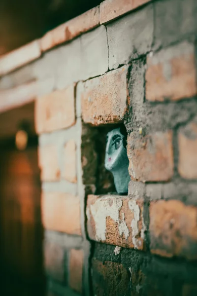 Mysterious Face in Brick Niche