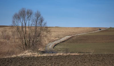 Winding rural road amidst diverse agricultural fields and bare trees under clear blue sky image